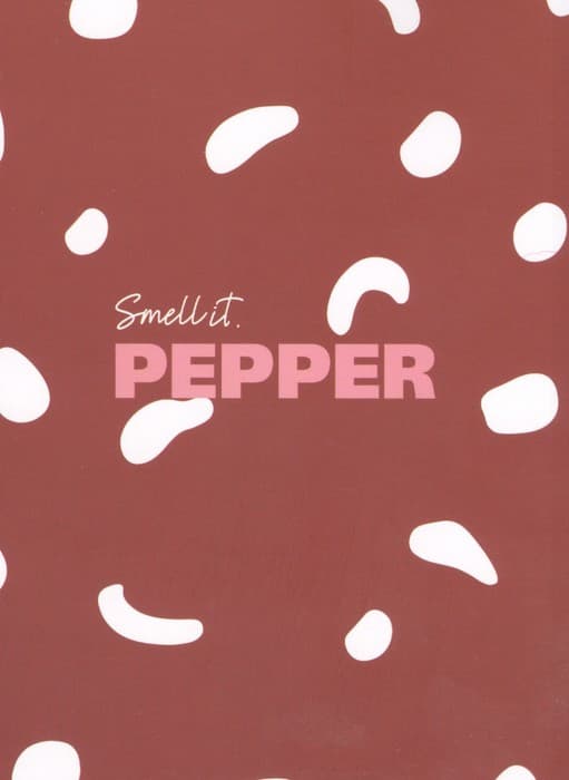 دفتر یادداشت طرح PEPPER (کد 081)