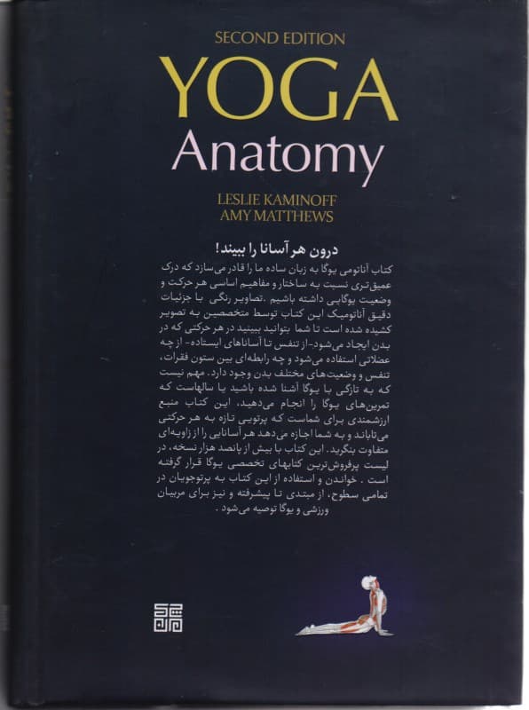 آناتومی یوگا به زبان ساده
