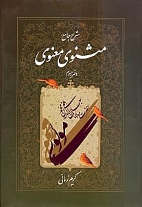 شرح جامع مثنوی معنوی 2