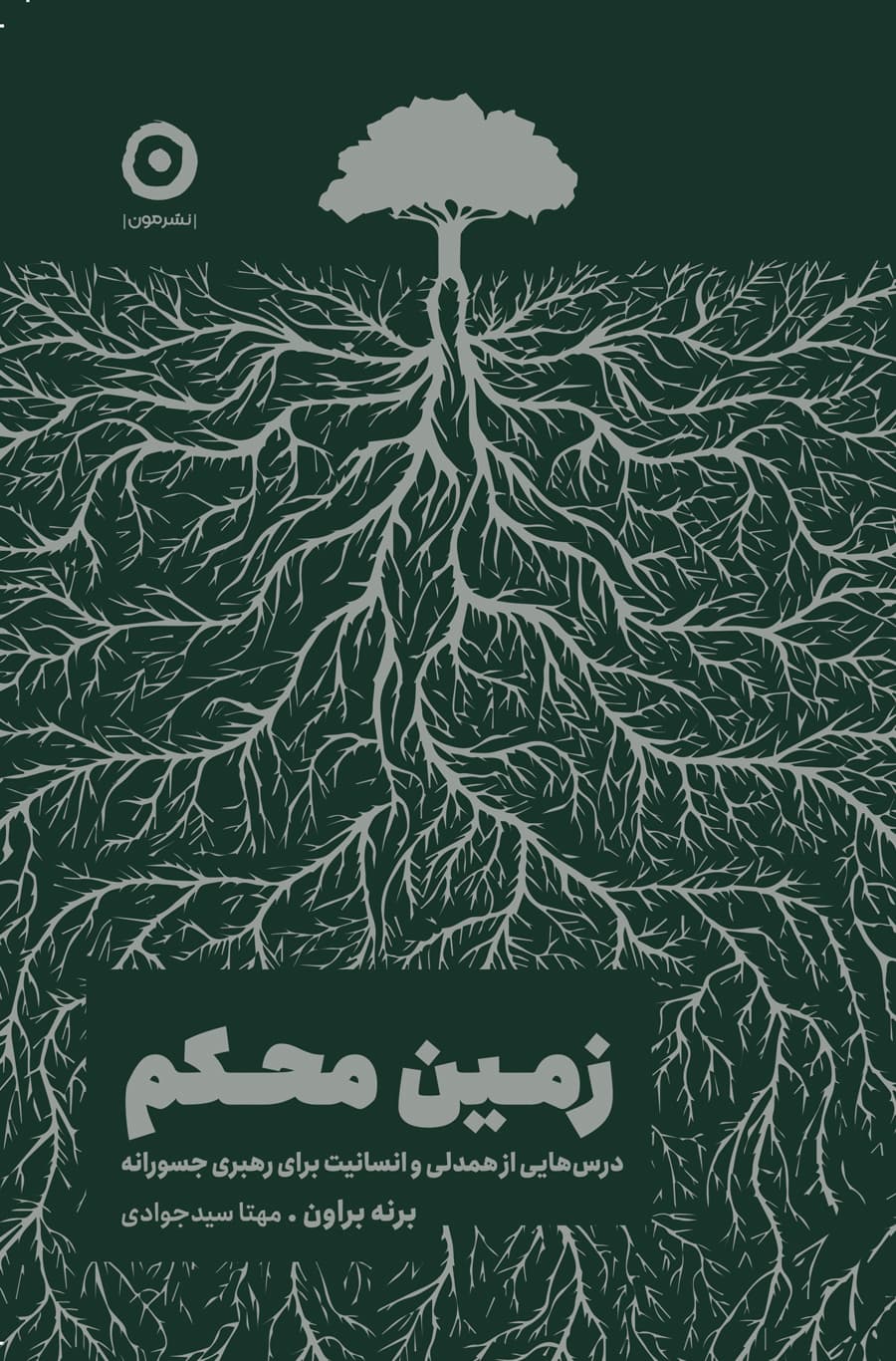 زمین محکم (درس‌هایی از همدلی و انسانیت برای رهبری جسورانه)