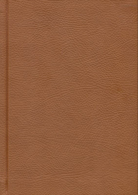 شازده کوچولو (چرمی)