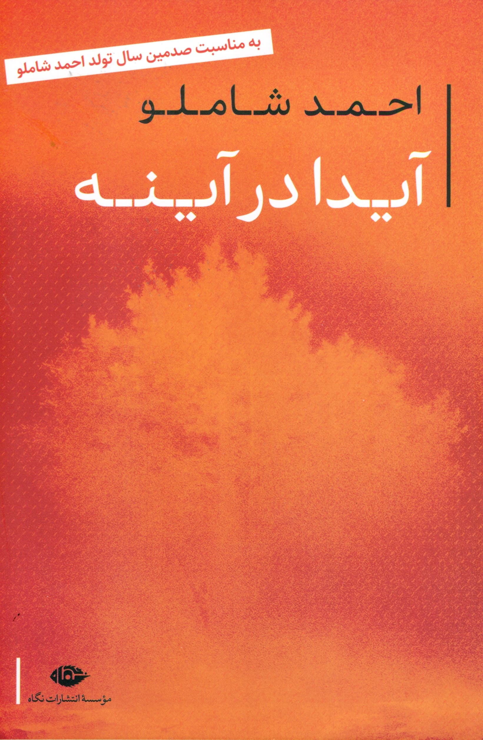 آیدا در آینه