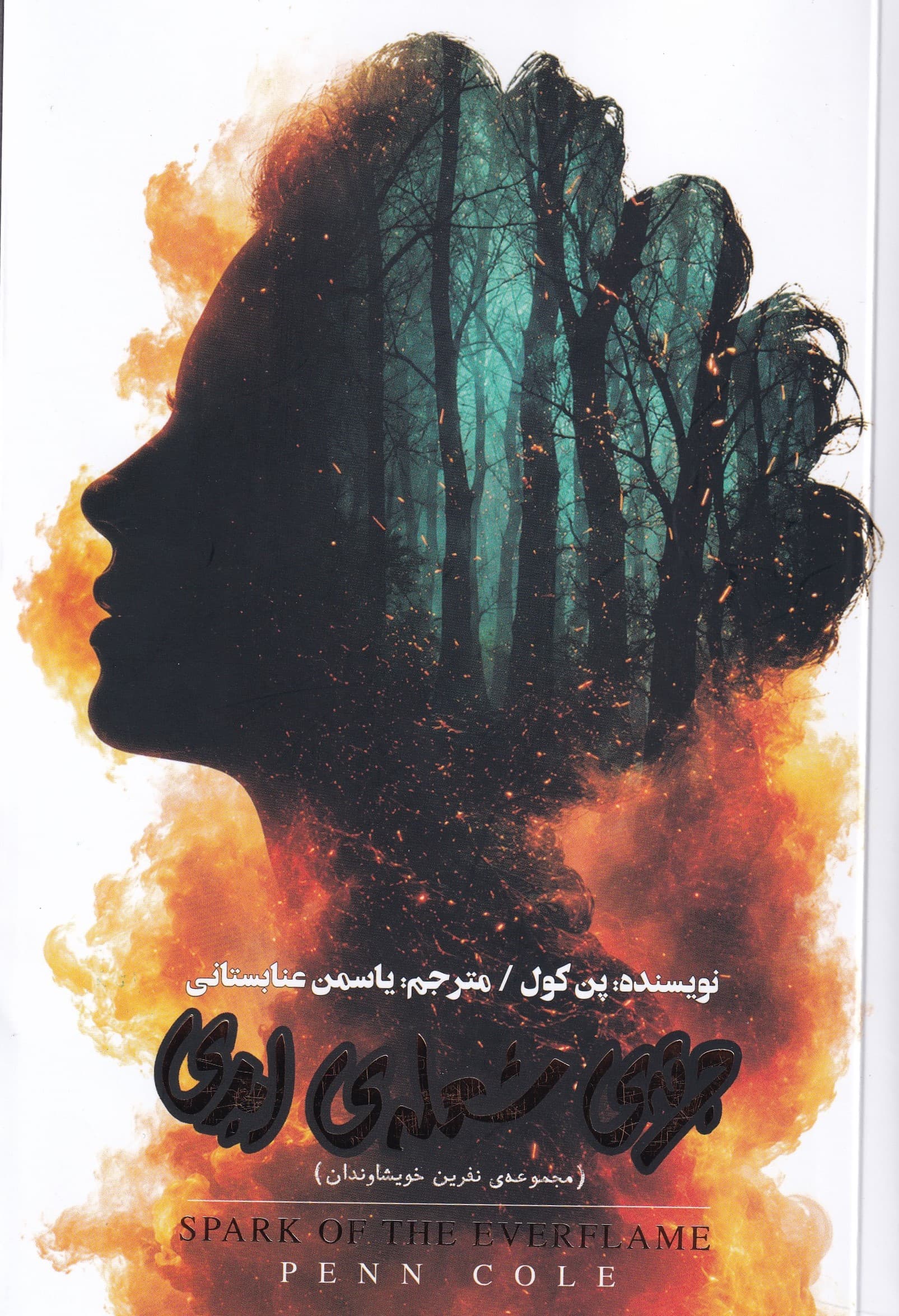 جرقه شعله ابدی (مجموعه نفرین خویشاوندان)