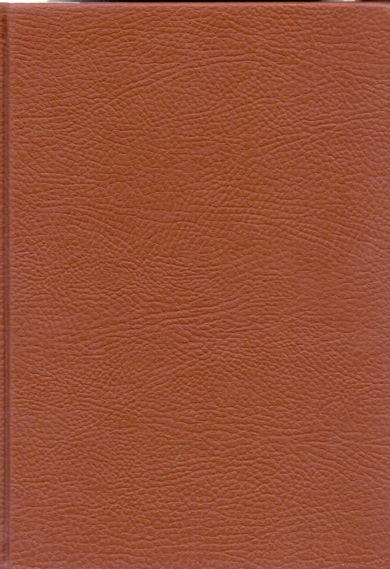 دنیای سوفی (چرمی)