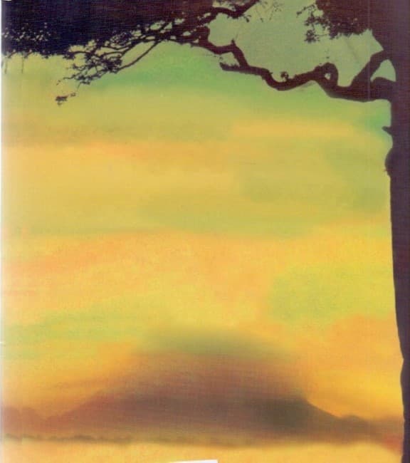 ندای کوهستان