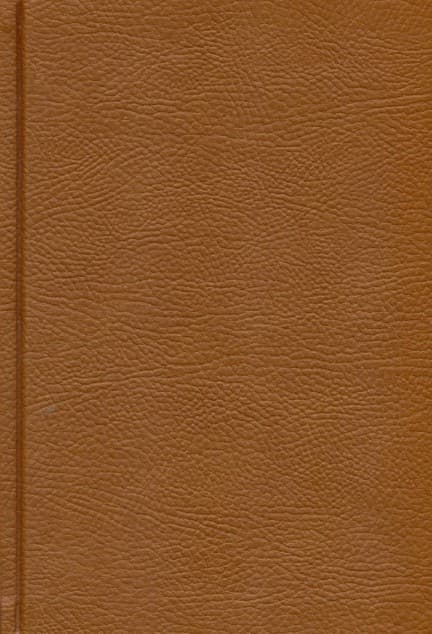 جین ایر (چرم)