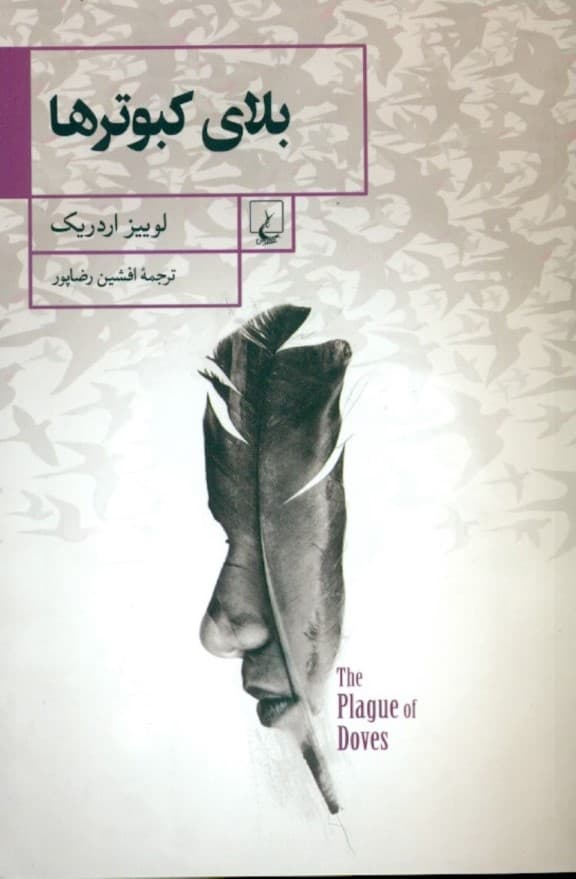 بلای کبوترها