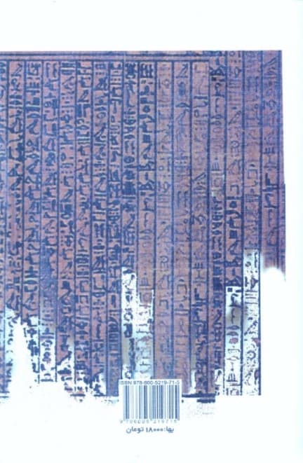 شهرزاد دختری از مصر