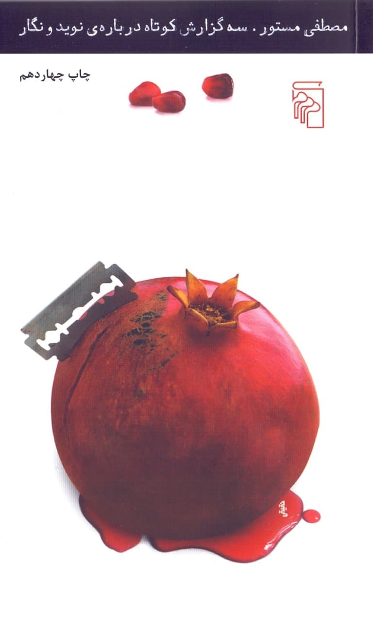 3 گزارش کوتاه درباره نوید و نگار (پالتویی)