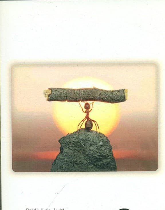 فنونی از ازل - تمریناتی تا ابد ( خلاقیت از ایده تا عمل)