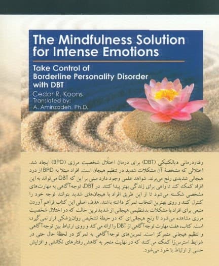 کنترل هیجان‌های شدید با دی بی تی