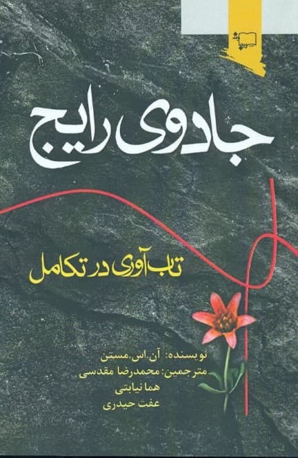 جادوی رایج (تاب‌آوری در تکامل)