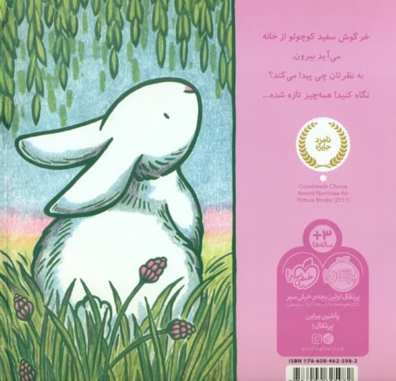 فکرهای خرگوشی