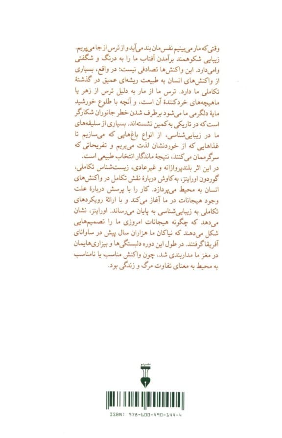 یاد جنگل دور