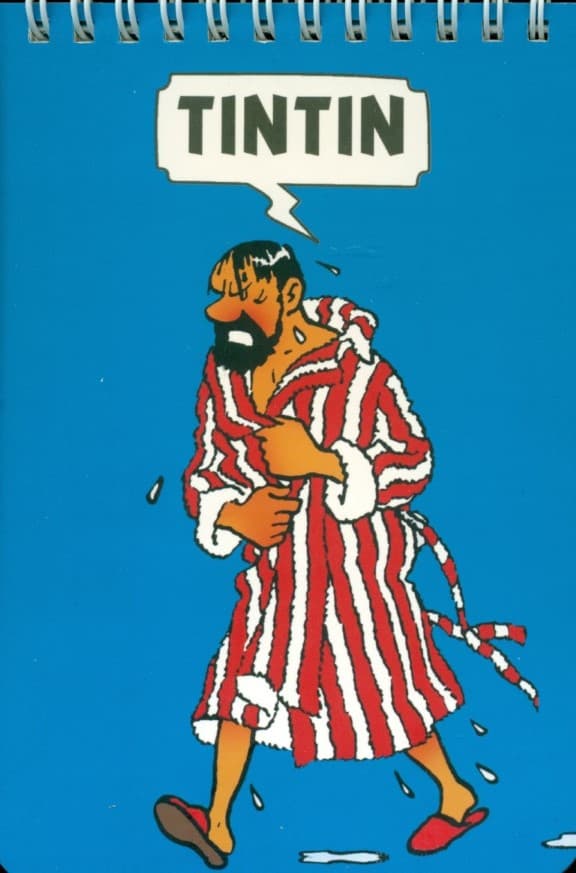 دفتر یادداشت پالتویی تن تن (8226)