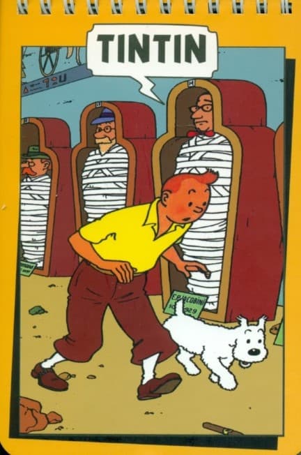 دفتر یادداشت پالتویی تن تن (8189)