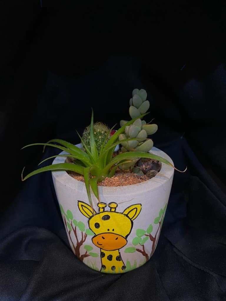 گلدان (سیمانی رنگی)