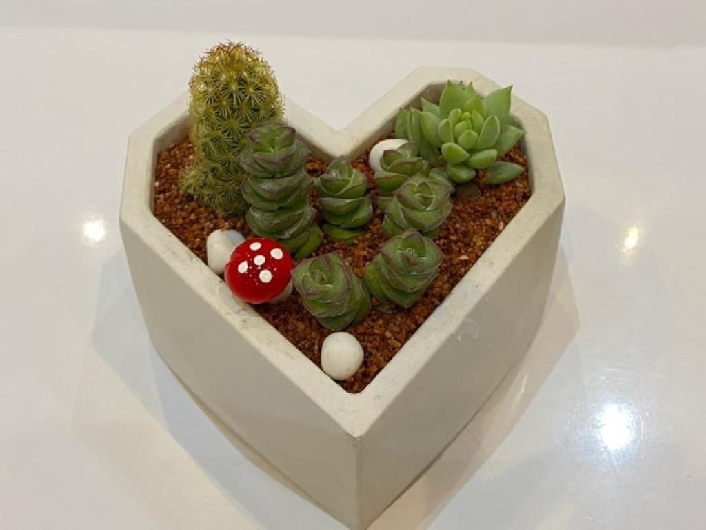 گلدان سیمانی طرح قلب