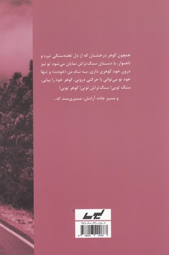 جاده آرامش (حکایت 1 رهرو)