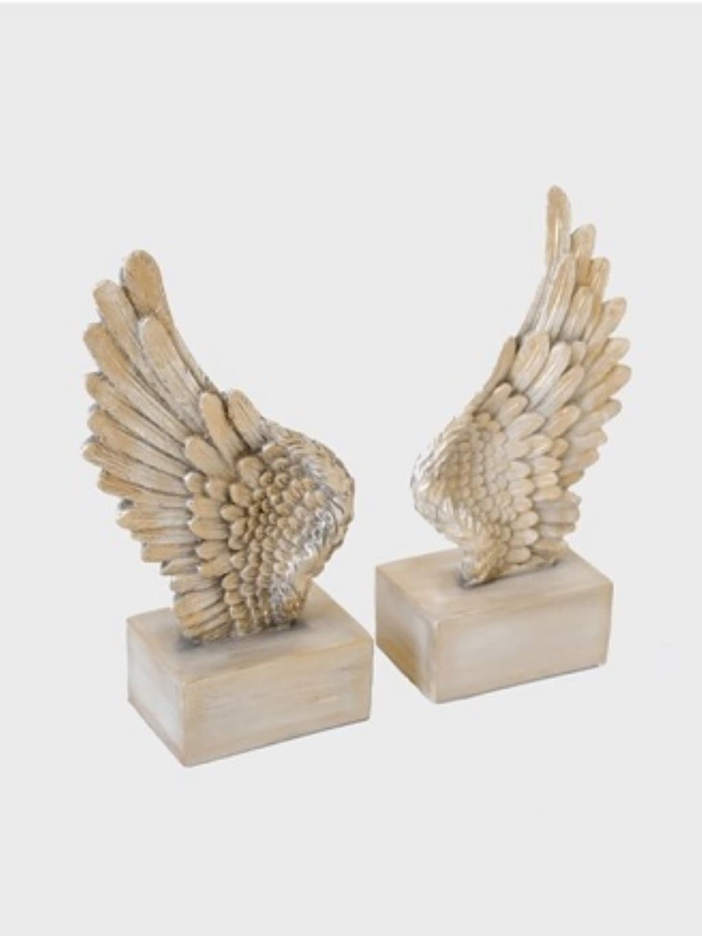 غش‌گیر کتاب طرح بال فرشته (1)