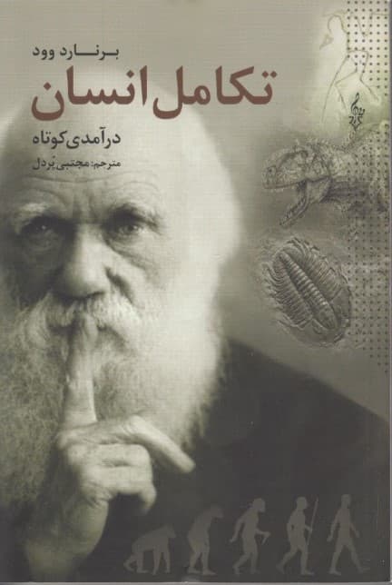 درآمدی کوتاه بر تکامل انسان 