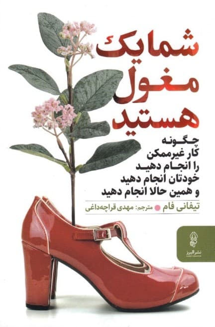 شما 1 مغول هستید (چگونه کار غیرممکن را انجام دهید خودتان انجام دهید و همین حالا انجام دهید)