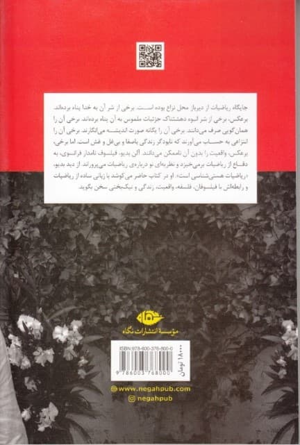 در ستایش ریاضیات