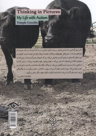 تصویری اندیشیدن زندگی من با اتیسم