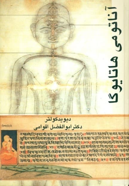 آناتومی هاتا یوگا