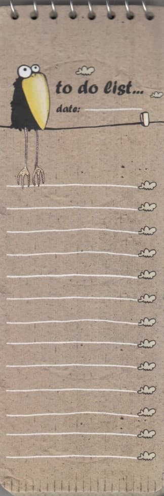 دفتر یادداشت خط‌دار پلنر کلاغ جان (کد 3321)