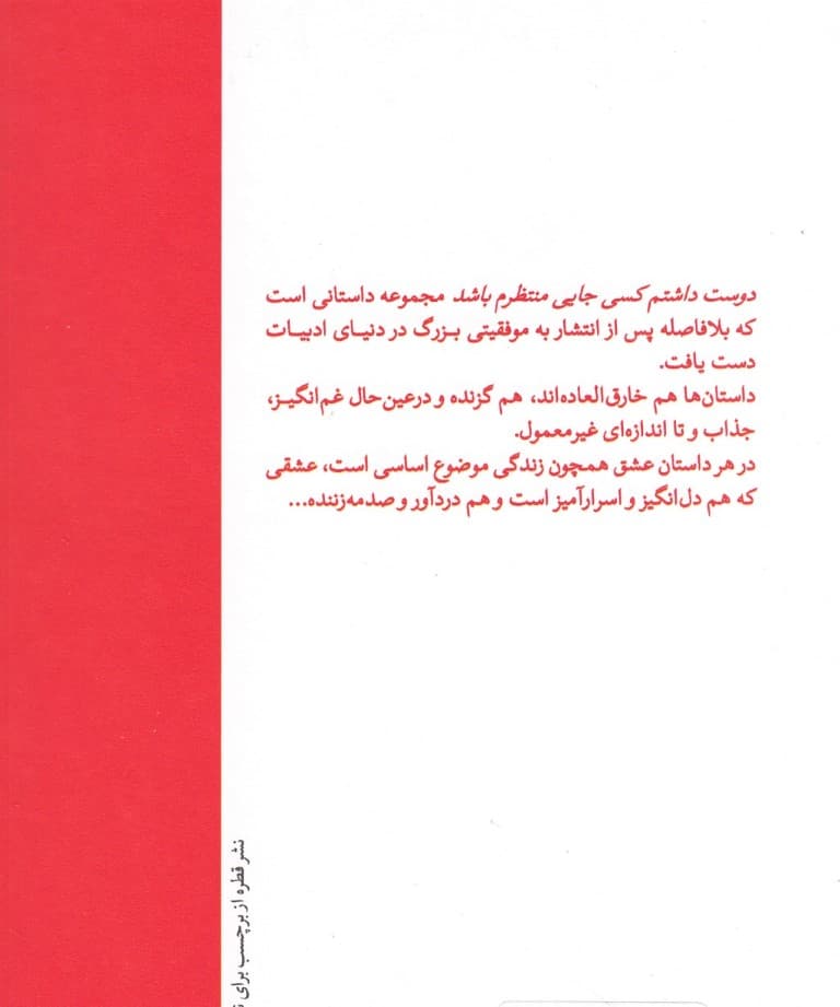 دوست داشتم کسی جایی منتظرم باشد (مجموعه داستان)