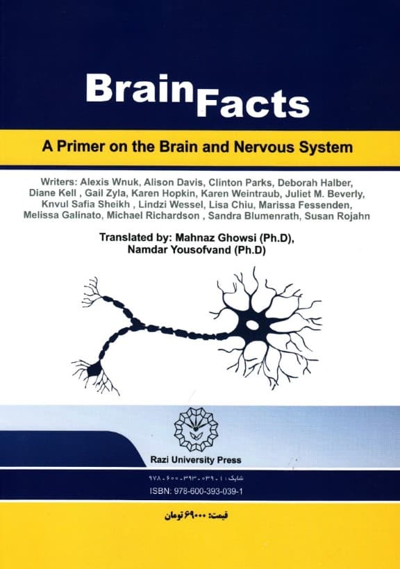 حقایق مغز (الفبای مغز و سیستم عصبی)