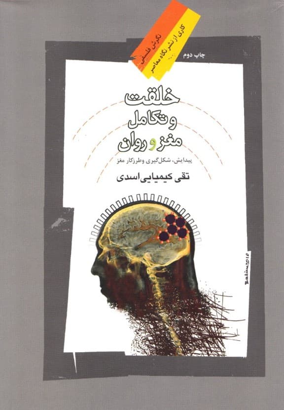 خلقت و تکامل مغز و روان