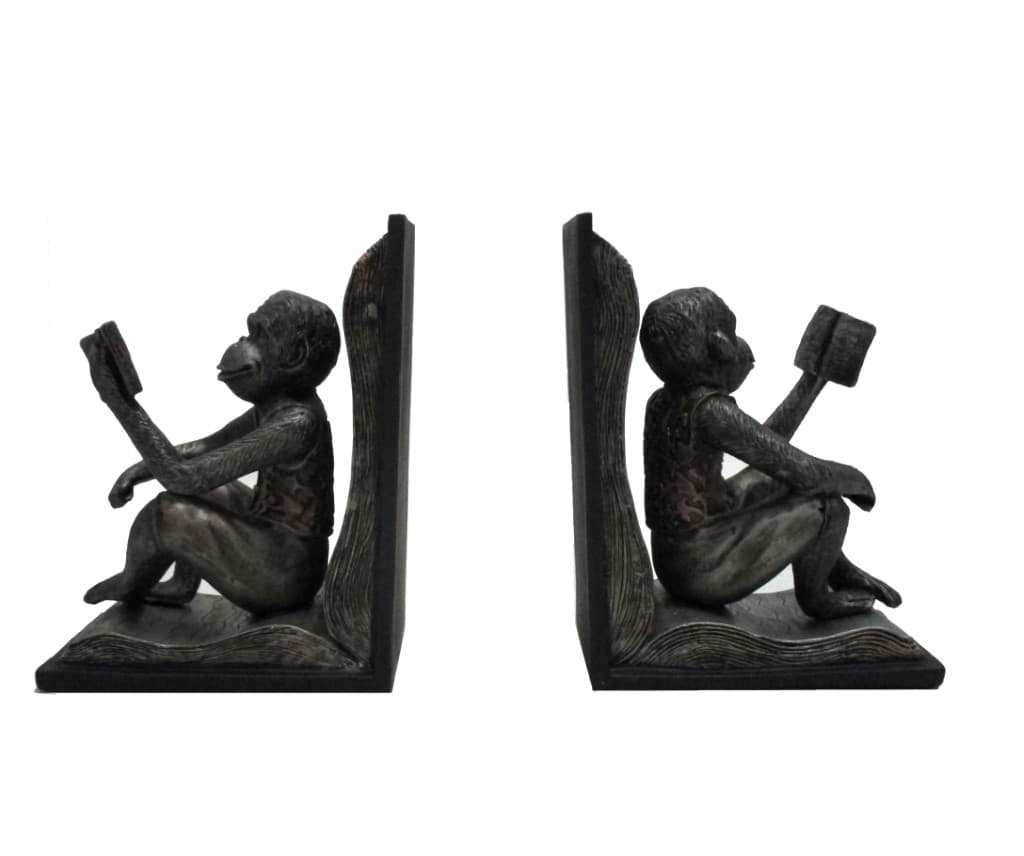 غش‌گیر میمون کتاب‌خوان