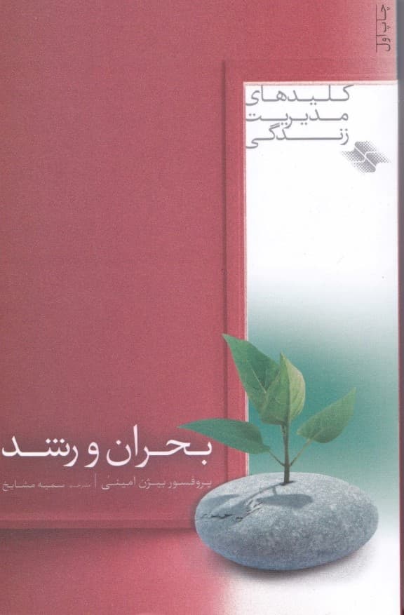 بحران و رشد