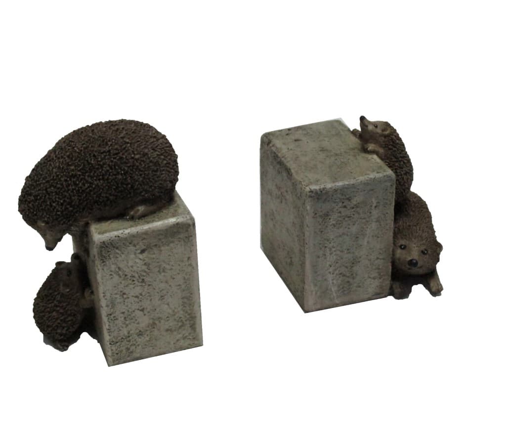 غش‌گیر کتاب طرح جوجه تیغی