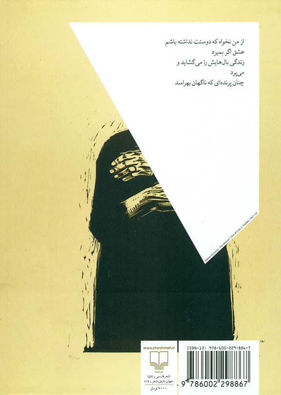 دلهره مدام گریختن (مجموعه شعر)