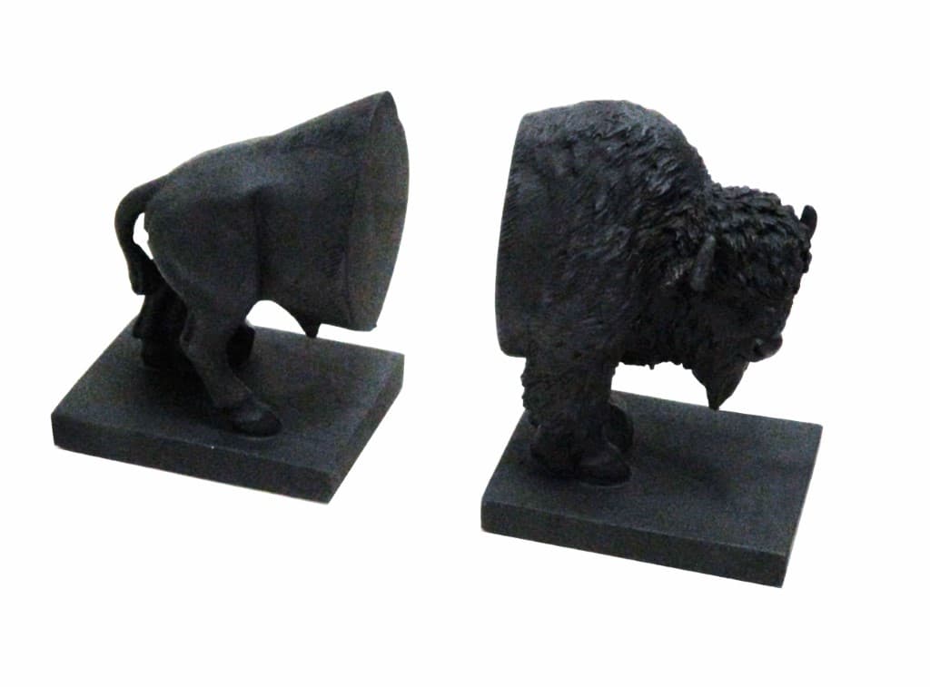 غش‌گیر کتاب طرح بوفالو