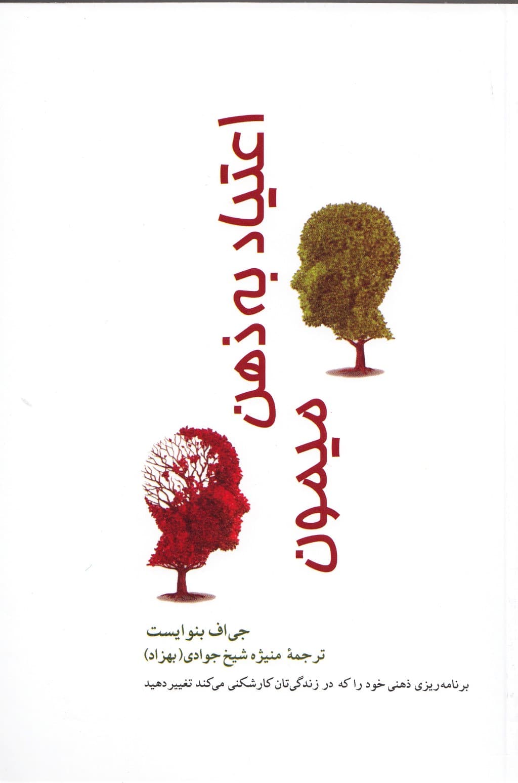 اعتیاد به ذهن میمون (برنامهریزی ذهنی خود را که در زندگیتان کارشکنی میکند تغییر دهید)