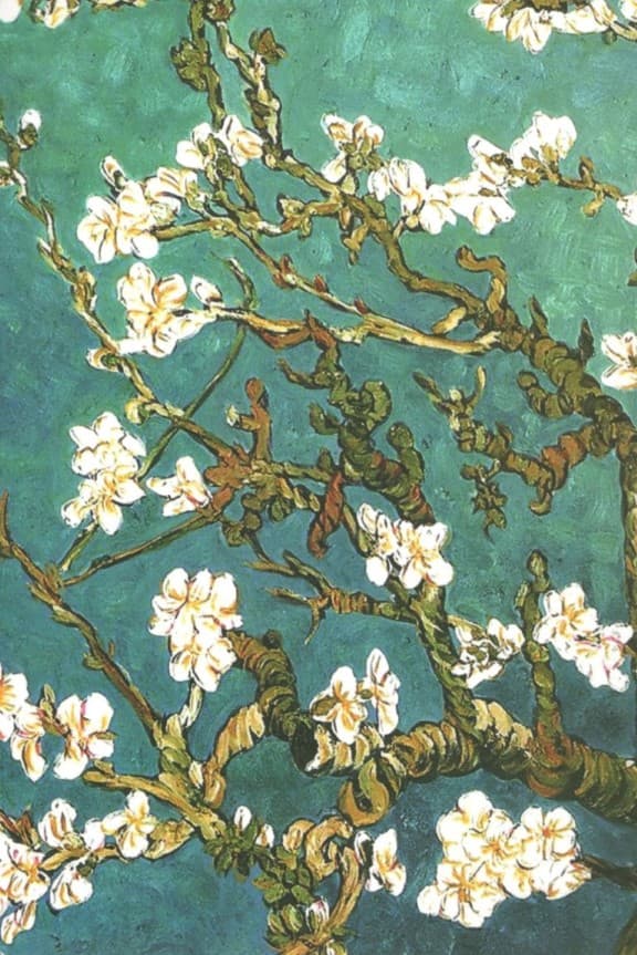 دفتر برنامه ریزی (پلنر روزانه بلوار الیزابت 11،کد 275)