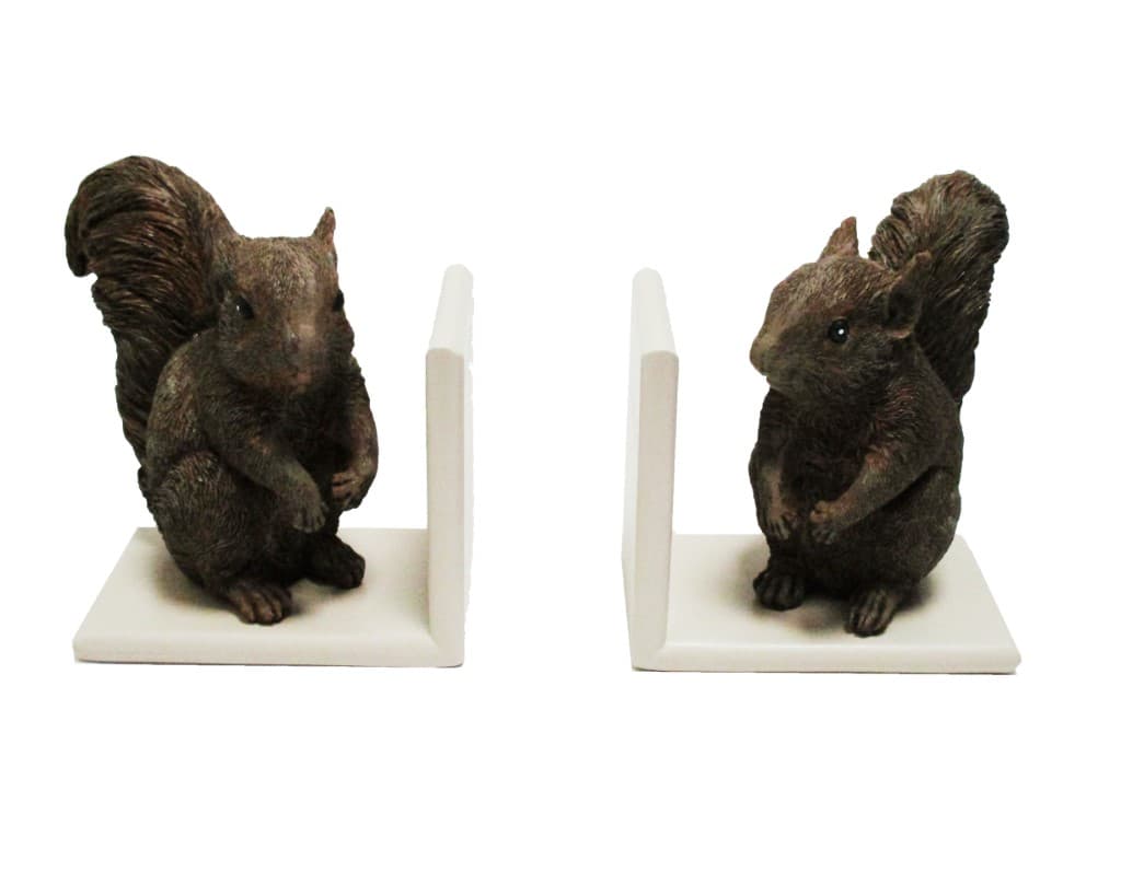 غش‌گیر کتاب طرح سنجاب