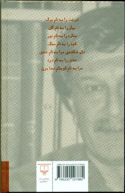 در غبار برف 1 (2 جلدی) گالینگور