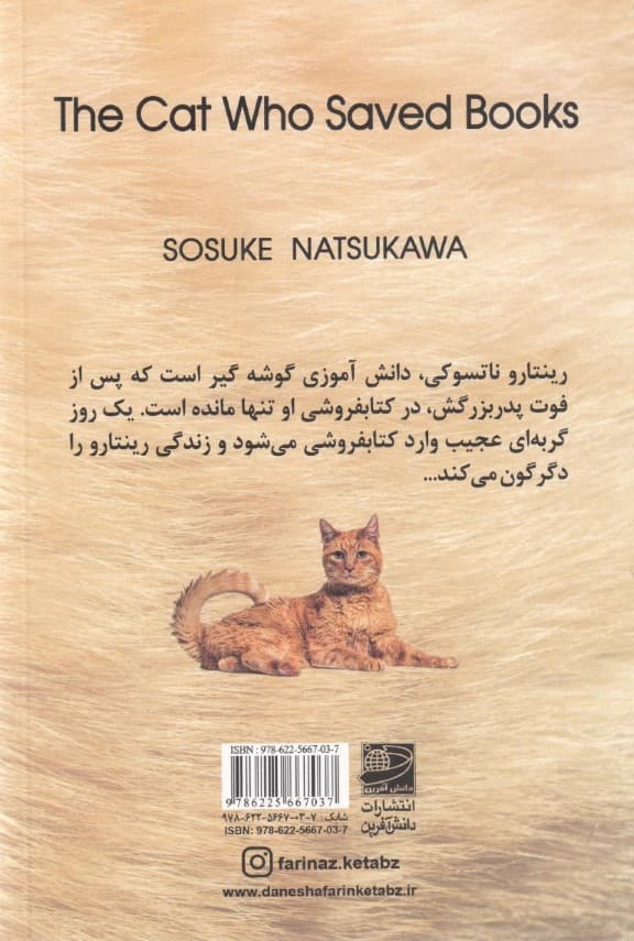 گربه‌ای که کتاب‌ها را نجات داد