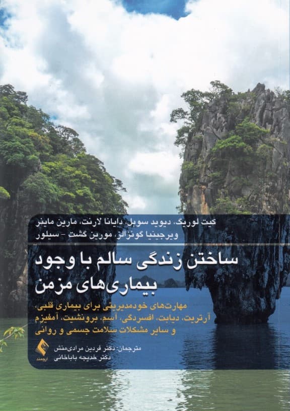 ساختن زندگی سالم با وجود بیماری‌های مزمن (مهارت‌های خودمدیریتی برای بیماری قلبی آرتریت افسردگی آسم برونشیت آمفیزم و سایر مشکلات سلامت جسمی و روانی)