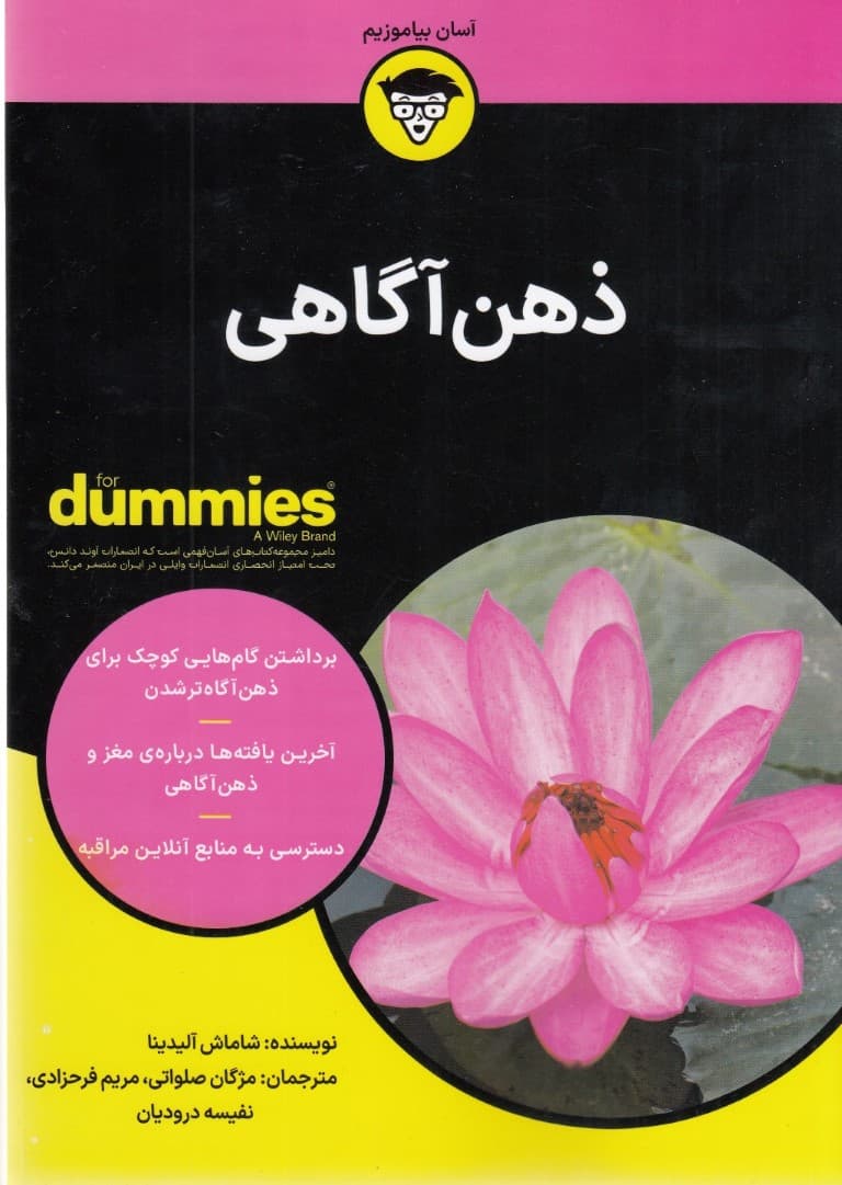 ذهن‌آگاهی برای دامیز