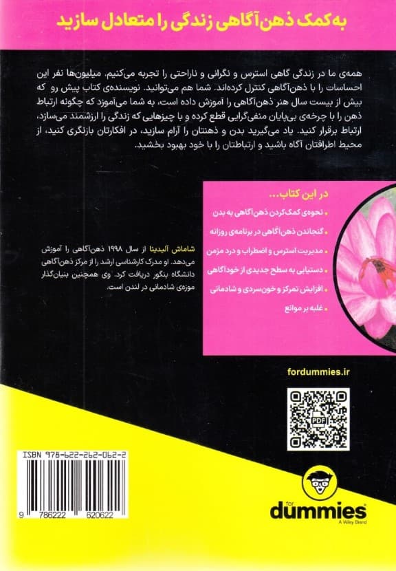 ذهن‌آگاهی برای دامیز