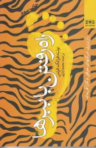 راه رفتن با ببرها (راز برتری شرکت‌های موفق و کارآفرینان)