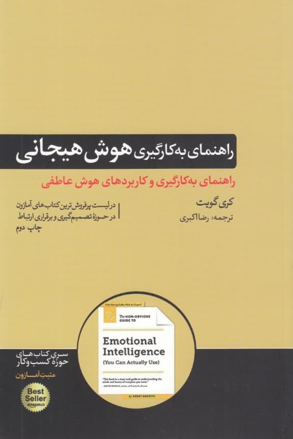 راهنمای بهکارگیری هوش هیجانی (که به کارتان میآید)