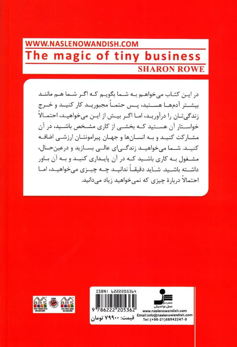 جادوی کسب و کار کوچک (برای خوب پول درآوردن نباید کار خیلی بزرگی کنی)