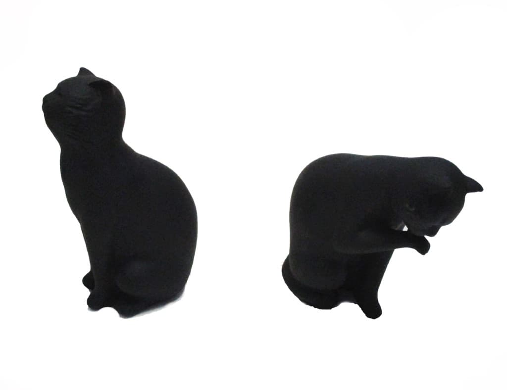 غش‌گیر کتاب طرح گربه